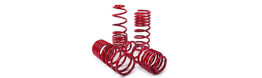 Molas Rebaixamento MTS 