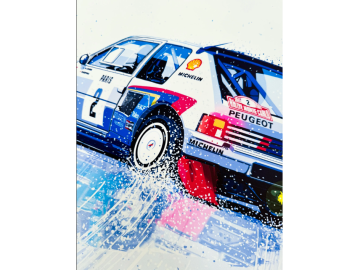 205 T16 EVO 1 | ARTPRINT