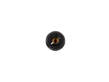 ARB - Ficha de engate rápido US STD NPT
