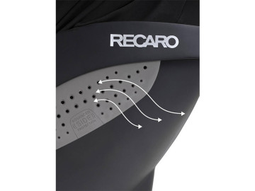 Cadeira Auto Recaro Avan Exclusive Carbon Grey