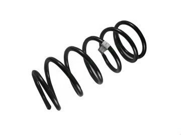 Mola EFS frontal (+50mm 60-100kg)