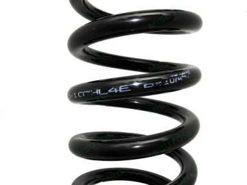 Mola EFS frontal (+75mm 80-100/120kg)