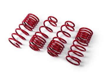 Mola Rebaixamento MTS BMW SÉRIE 3 315/316/318/318i/320/320i/323i / E21 40/40 mm