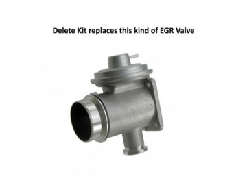 Supressor EGR BMW E46 E60 E61 3.0 D M57N