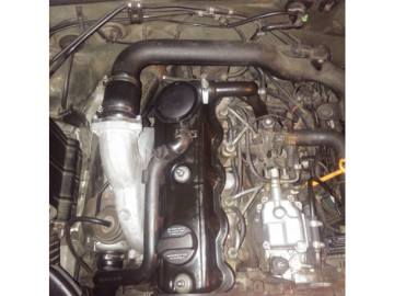 Supressor EGR VAG 1.9 TDI AWX - AFN