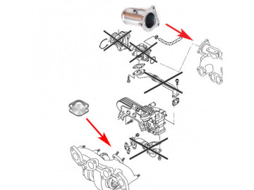 Supressor EGR para VAG TDI AXR, BKC